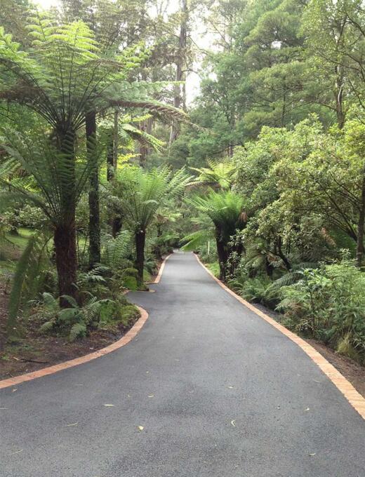 Asphalt pathway in the Dandenongs, Melbourne